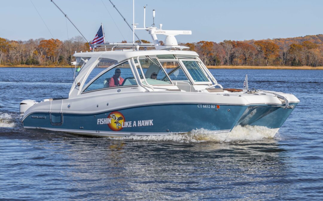 2019 World Cat 320 DC